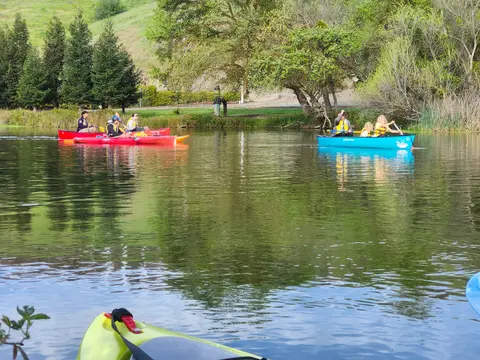 Canoes and kayaks gliding across calm green water beneath oak-covered hills