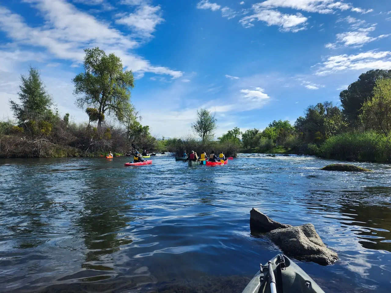 Volunteers paddling canoes and kayaks through gentle rapids on the San Joaquin River under a blue spring sky